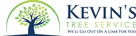 Tree Trimming & Removal In Orlando, FL