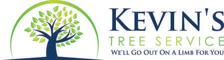 Our Tree Services in Orlando & Oviedo | Kevin’s Tree Service