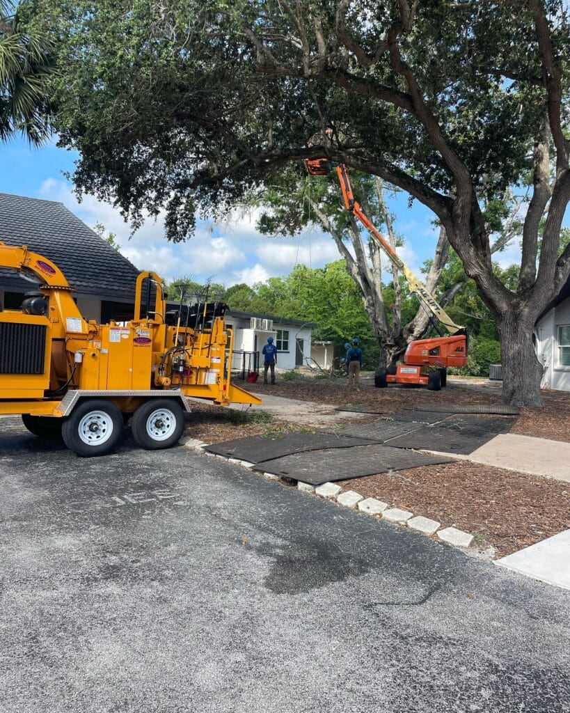 Kevin’s Tree Service aerial lift pruning a mature oak, with a chipper and ground protection mats on the driveway