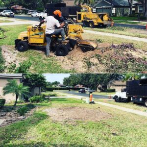 stump grinding Orlando