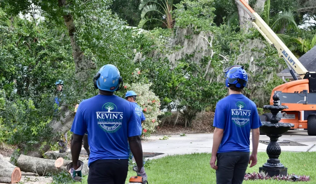 Kevin's Tree Service crew in company shirts and helmets on a tree removal job