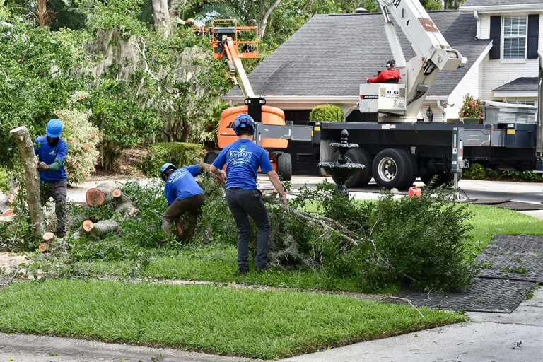 Kevin's Tree Service crew in KTS shirts cleaning up after a tree job