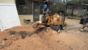 Stump Grinding