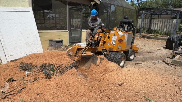 KTS crew member grinding a large stump in a backyard