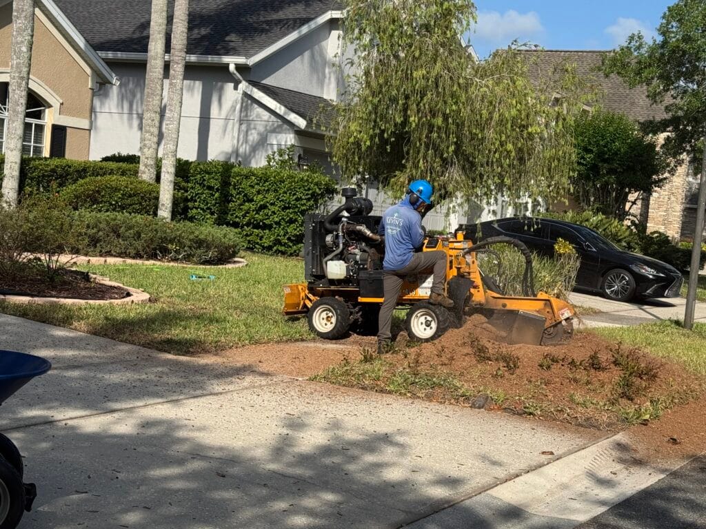 Tree Removal & Trimming in Orlando | Kevin’s Tree Service Kevin’s Tree Service crew member grinding a stump in a front yard next to a paver driveway