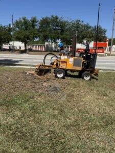stump grinding casselberry