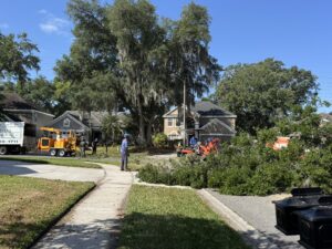 tree removal oviedo