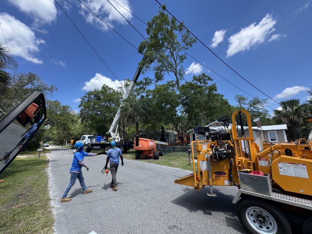 Tree Removal & Trimming in Orlando | Kevin’s Tree Service KTS crew walking beside a chipper on a residential street while a crane works in the background