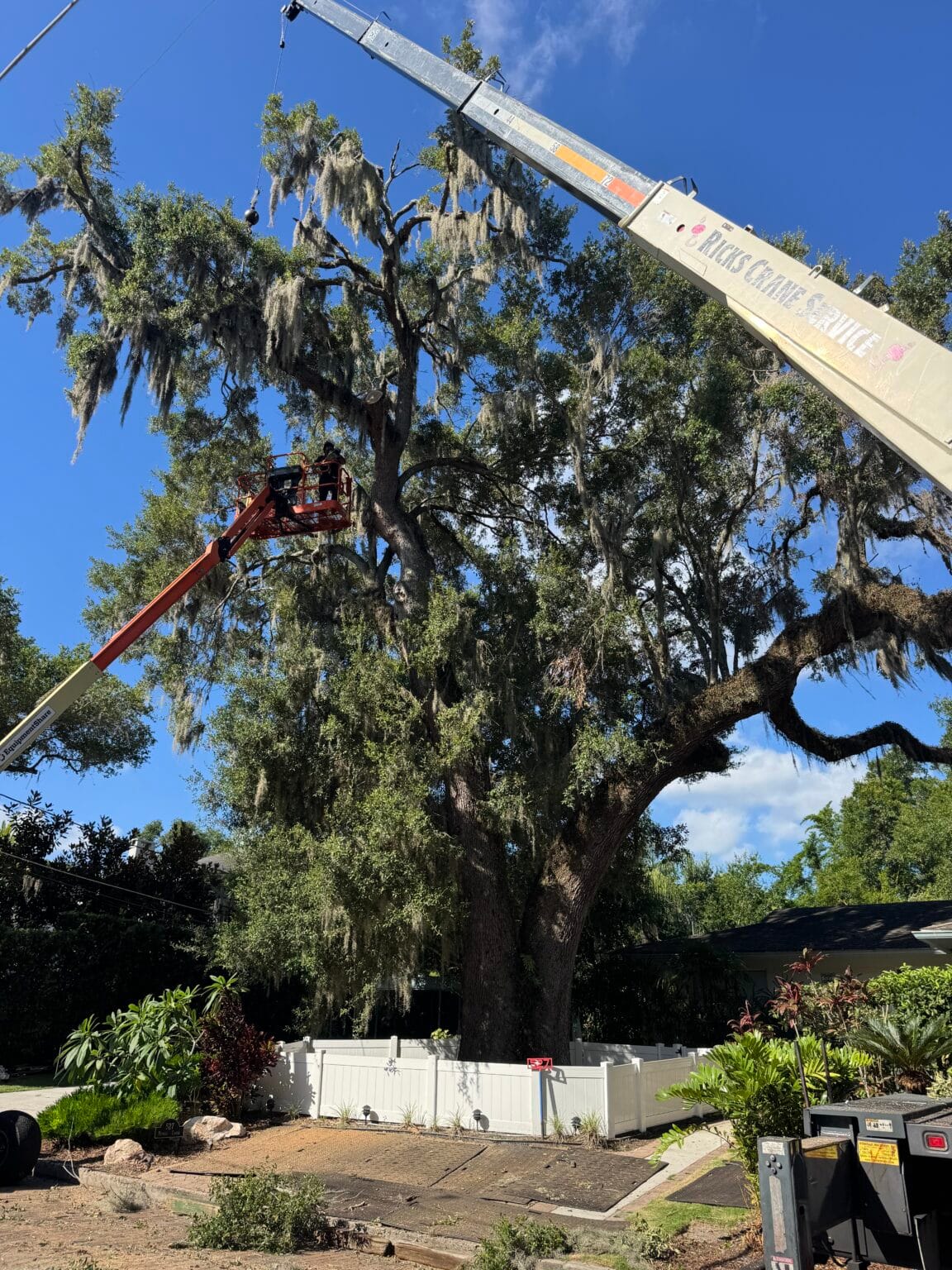 An aerial lift working beside a large, moss-draped oak over a residential lot