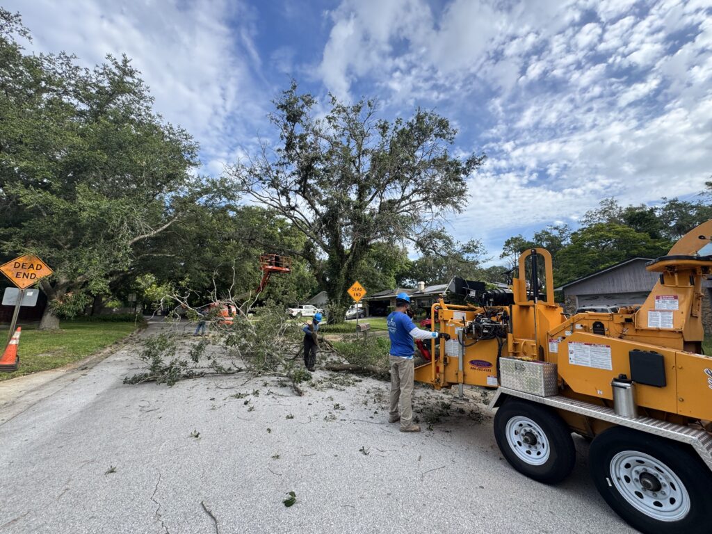 Kevin’s Tree Service crew feeding trimmed branches into a chipper on a residential street