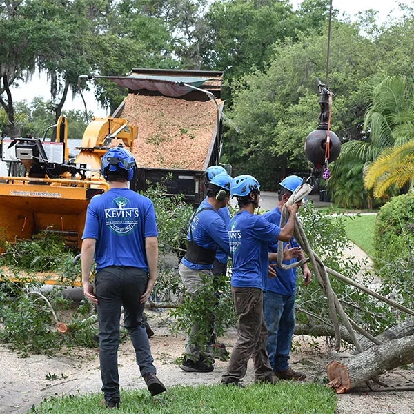 Kevin's Tree Service crew guiding a crane-lifted section of trunk during a residential tree removal