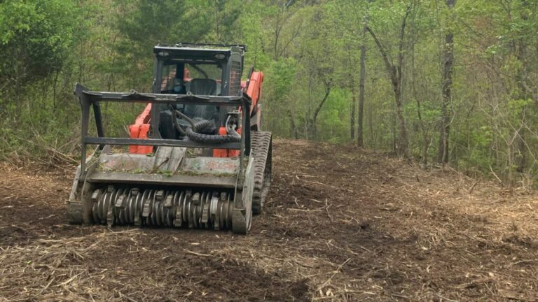 Tracked skid steer with a forestry mulching head clearing brush