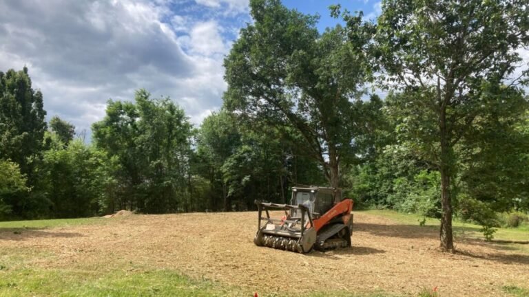 Forestry mulcher on a cleared lot with mature trees kept standing