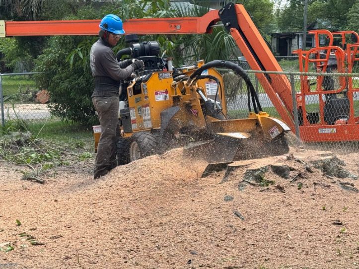 Stump grinding service in Orlando — compact grinder with tidy cleanup