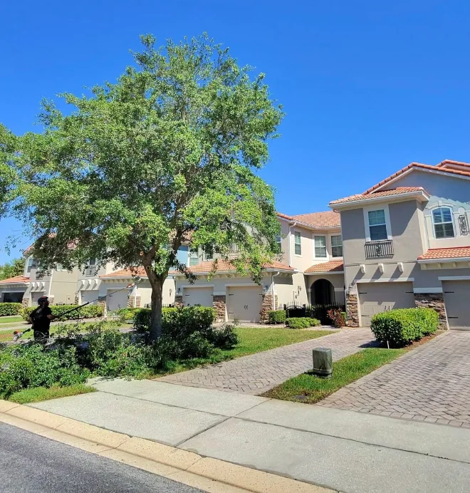 Before and after tree services Orlando FL — trimming and clearance