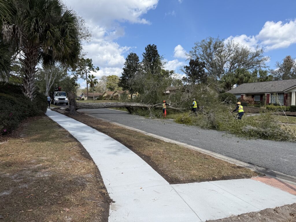 Kevin’s Tree Service crew in safety vests clearing a fallen tree along a residential street