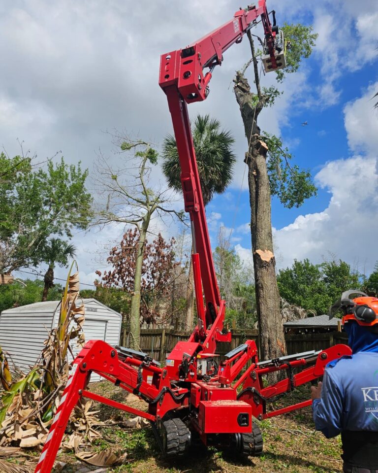 KTS crew member watching the red spider lift as a climber works high in a tree