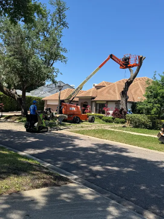Aerial lift set up for tree removal beside a home