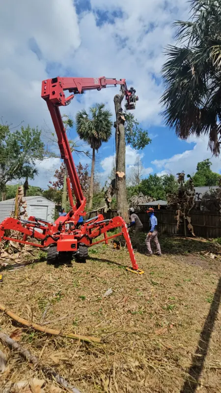 Tree Removal & Trimming in Orlando | Kevin’s Tree Service Kevin’s Tree Service crew using a spider lift during a backyard tree removal.