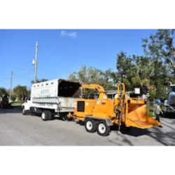 Tree Removal & Trimming in Orlando | Kevin’s Tree Service Tree Removal & Trimming in Orlando | Kevin’s Tree Service