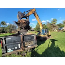 Tree Removal & Trimming in Orlando | Kevin’s Tree Service Tree Removal & Trimming in Orlando | Kevin’s Tree Service