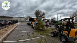 Tree Removal & Trimming in Orlando | Kevin’s Tree Service Tree Removal & Trimming in Orlando | Kevin’s Tree Service