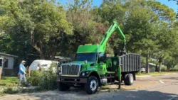 Tree Removal & Trimming in Orlando | Kevin’s Tree Service Tree Removal & Trimming in Orlando | Kevin’s Tree Service