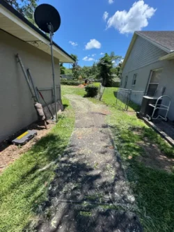 Tree Removal & Trimming in Orlando | Kevin’s Tree Service Tree Removal & Trimming in Orlando | Kevin’s Tree Service