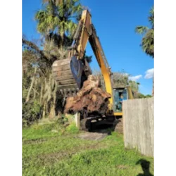 Tree Removal & Trimming in Orlando | Kevin’s Tree Service Tree Removal & Trimming in Orlando | Kevin’s Tree Service