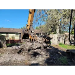 Tree Removal & Trimming in Orlando | Kevin’s Tree Service Tree Removal & Trimming in Orlando | Kevin’s Tree Service