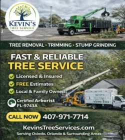 Tree Removal & Trimming in Orlando | Kevin’s Tree Service Tree Removal & Trimming in Orlando | Kevin’s Tree Service