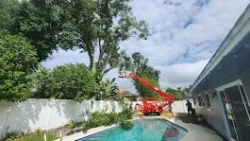 Tree Removal & Trimming in Orlando | Kevin’s Tree Service Tree Removal & Trimming in Orlando | Kevin’s Tree Service