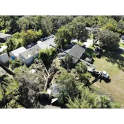 Tree Removal & Trimming in Orlando | Kevin’s Tree Service Tree Removal & Trimming in Orlando | Kevin’s Tree Service