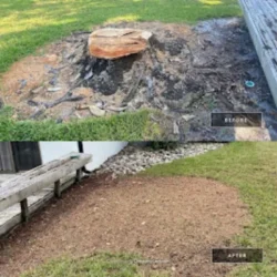 Tree Removal & Trimming in Orlando | Kevin’s Tree Service Tree Removal & Trimming in Orlando | Kevin’s Tree Service