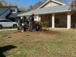 Tree Removal & Trimming in Orlando | Kevin’s Tree Service Tree Removal & Trimming in Orlando | Kevin’s Tree Service