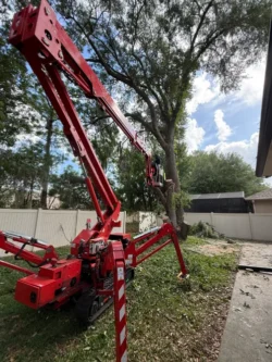 Tree Removal & Trimming in Orlando | Kevin’s Tree Service tight backyard access tree removal using a spider lift