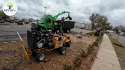 Tree Removal & Trimming in Orlando | Kevin’s Tree Service Tree Removal & Trimming in Orlando | Kevin’s Tree Service