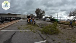 Tree Removal & Trimming in Orlando | Kevin’s Tree Service Tree Removal & Trimming in Orlando | Kevin’s Tree Service