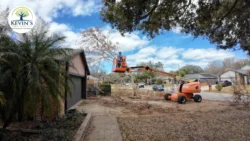Tree Removal & Trimming in Orlando | Kevin’s Tree Service Tree Removal & Trimming in Orlando | Kevin’s Tree Service