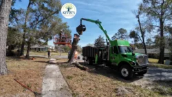 Tree Removal & Trimming in Orlando | Kevin’s Tree Service Tree Removal & Trimming in Orlando | Kevin’s Tree Service