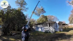 Tree Removal & Trimming in Orlando | Kevin’s Tree Service Tree Removal & Trimming in Orlando | Kevin’s Tree Service