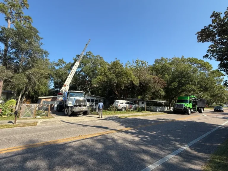 KTS green grapple truck and crew working beside a crane on a street-side tree removal