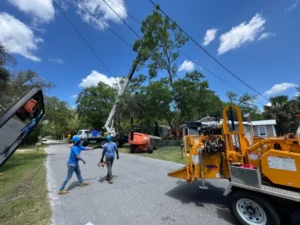 Crew and chipper setting up a crane removal near power lines