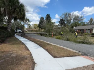 Crew cleaning up a fallen tree on a street