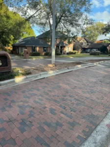 Finished area after stump grinding and cleanup