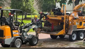 KTS compact loader carrying brush to the chipper