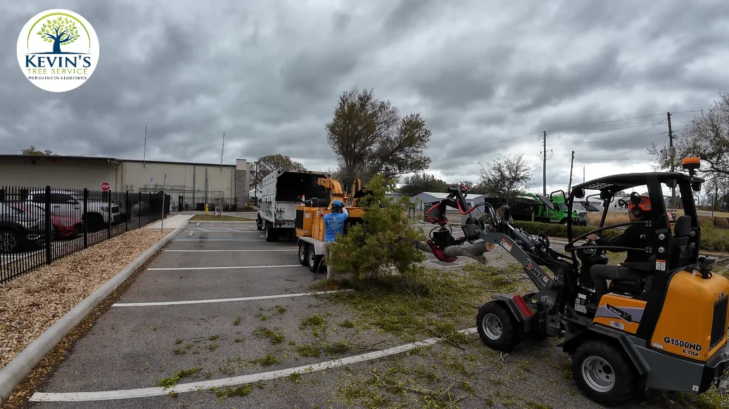 Tree debris cleanup with loader and chipper in Orlando, Florida