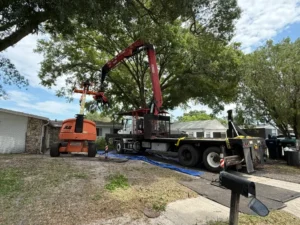 Grapple saw lifting a cut section clear of a yard