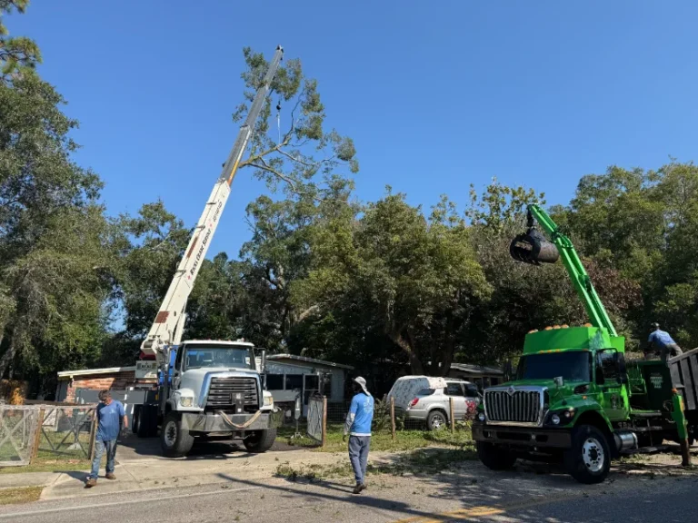 KTS green grapple truck and crew in blue shirts beside a crane on a tree removal