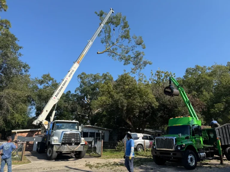 KTS green grapple truck and crew working beside a crane on a residential tree removal